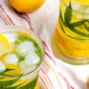 The Rise of THC Drinks: A Refreshing Path to Wellness