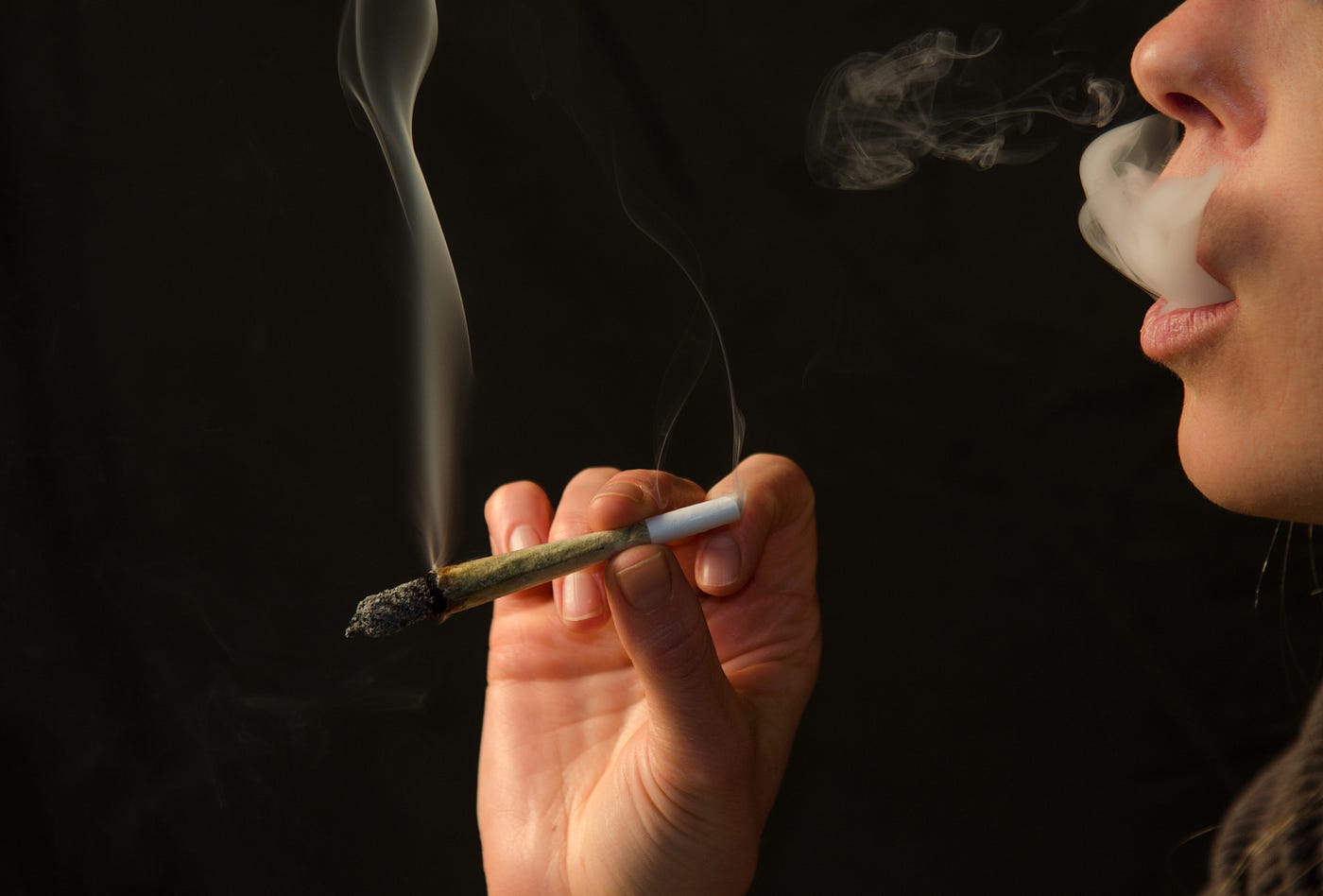 The Differences between Regular and Premium Pre-Rolled THC Joints