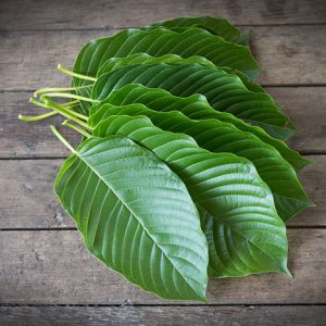 Key Issues Regarding Kratom’s Safety