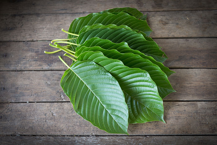 Key Issues Regarding Kratom’s Safety